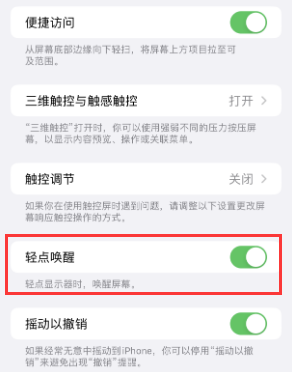 湛江苹果授权维修站分享iPhone轻点无法唤醒怎么办 