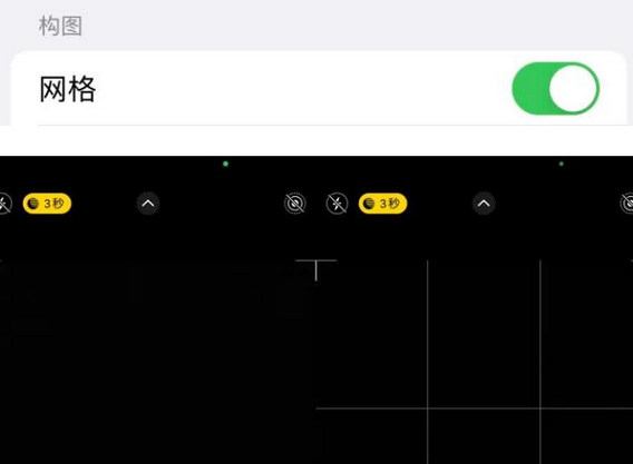 湛江苹果手机维修网点分享iPhone如何开启九宫格构图功能