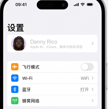 湛江appleID维修服务iPhone设置中Apple ID显示为灰色无法使用 