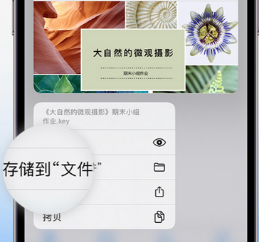 湛江apple维修中心分享iPhone文件应用中存储和找到下载文件