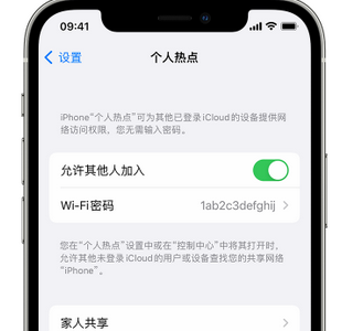 湛江apple服务站点分享iPhone上个人热点丢失了怎么办 