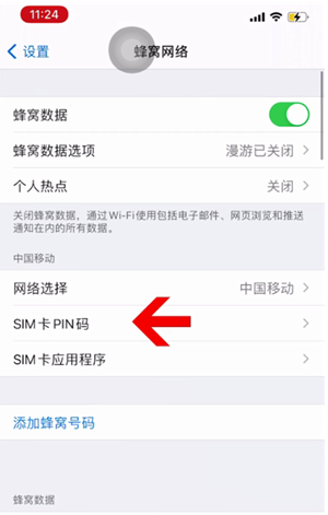 湛江苹果14维修网分享如何给iPhone14的SIM卡设置密码 