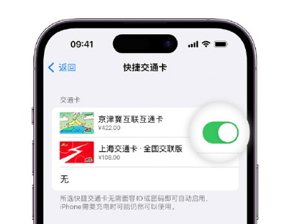 湛江apple维修点分享iPhone上更换Apple Pay快捷交通卡手绘卡面 