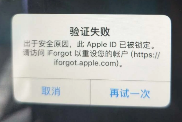 湛江iPhone维修分享iPhone上正常登录或使用AppleID怎么办 