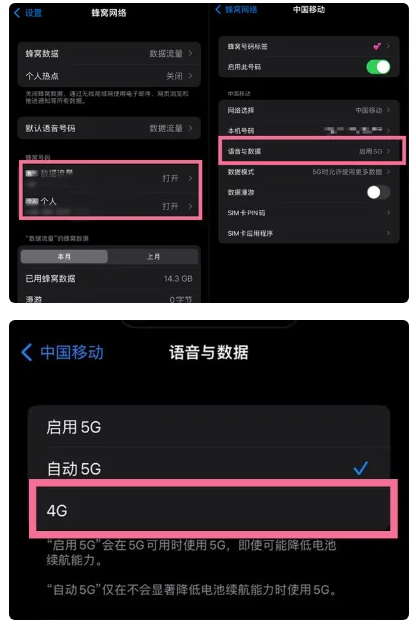 湛江苹果手机维修分享iPhone14如何切换4G/5G? iPhone14 5G网络切换方法 