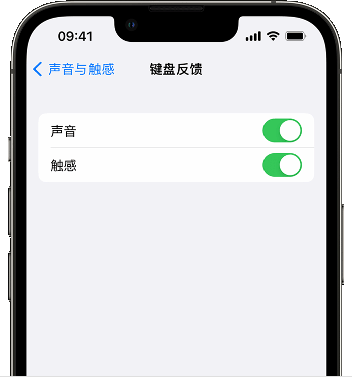 湛江苹果14维修店分享如何在 iPhone 14 机型中使用触感键盘 