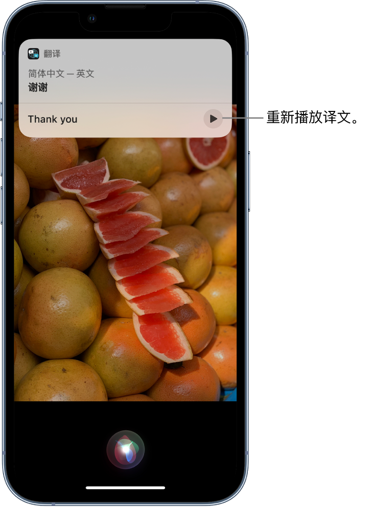 湛江苹果14维修分享 iPhone 14 机型中使用 Siri：了解 Siri 能帮你做什么 