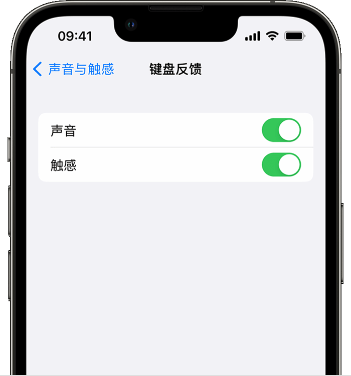 湛江苹果14维修分享iPhone 14 系列机型如何开启键盘声音或触感反馈 