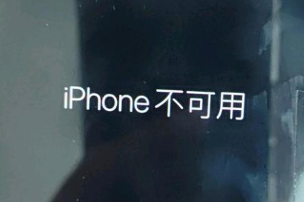 湛江苹果服务网点分享锁屏界面显示“iPhone 不可用”如何解决 