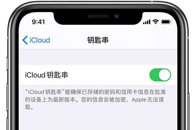 湛江苹果手机维修分享在 iPhone 上开启 iCloud 钥匙串之后会储存哪些信息 