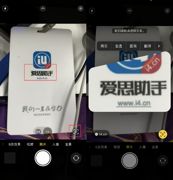 湛江苹果手机维修分享升级iOS 16后如何通过相机翻译文本 