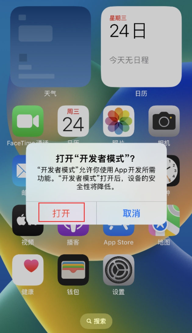 湛江苹果手机维修分享如何打开开发者模式 