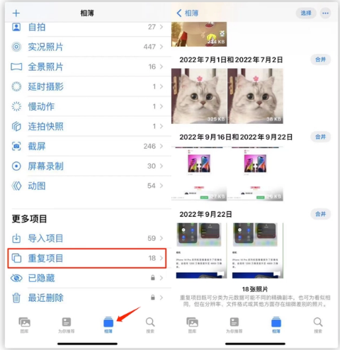 湛江苹果手机维修分享iOS 16 中相册重复项目功能使用方法 