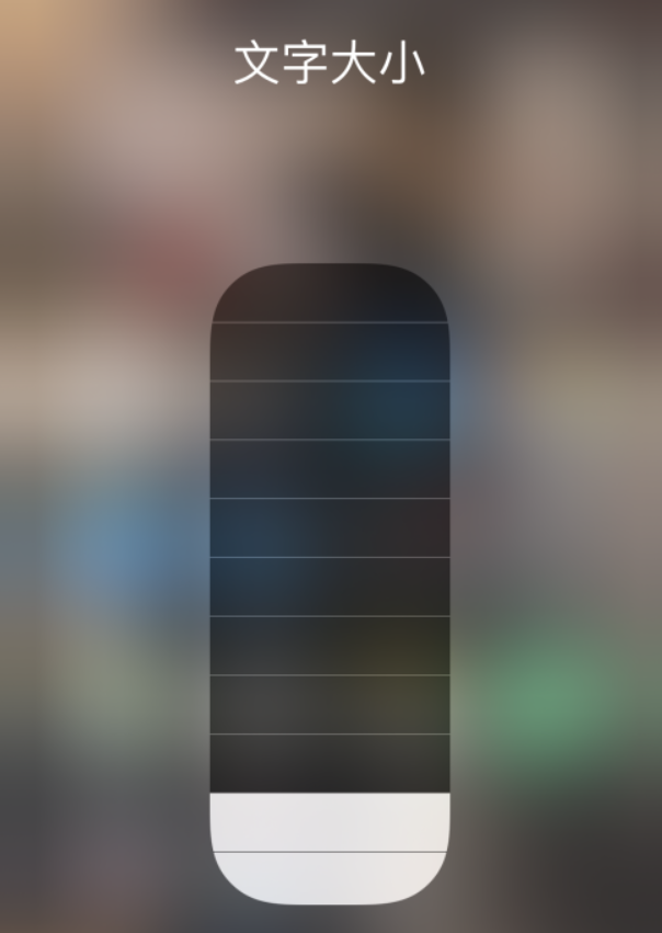 湛江苹果手机维修分享小技巧：在 iPhone 控制中心快速调节字体大小 