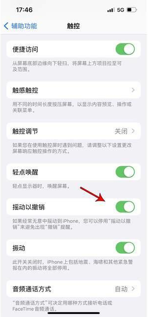 湛江苹果手机维修分享iPhone手机如何设置摇一摇删除文字 