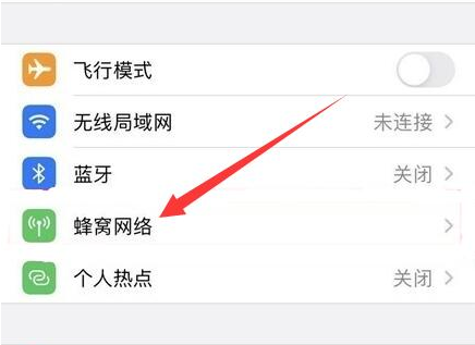 湛江苹果手机维修分享iPhone手机4G网络怎么设置成5G网络 