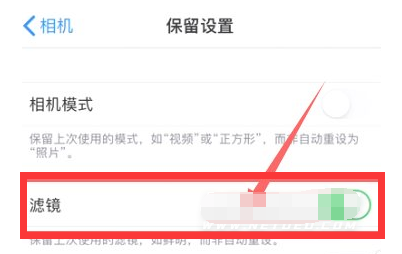 湛江苹果13维修分享iPhone13拍照有绿点是怎么回事 