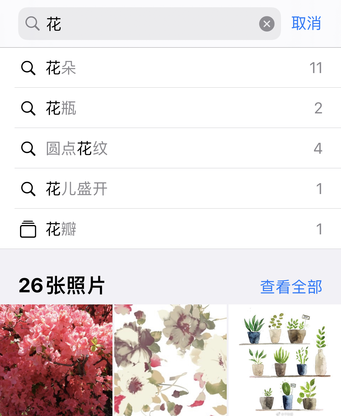 湛江苹果手机维修分享iPhone 小技巧 