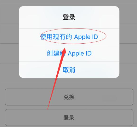 湛江苹果手机维修分享两台iPhone设备可以同时登录一个Apple ID吗 