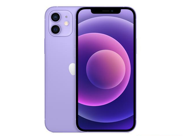 湛江苹果手机维修分享现阶段要不要入手紫色版iPhone12 