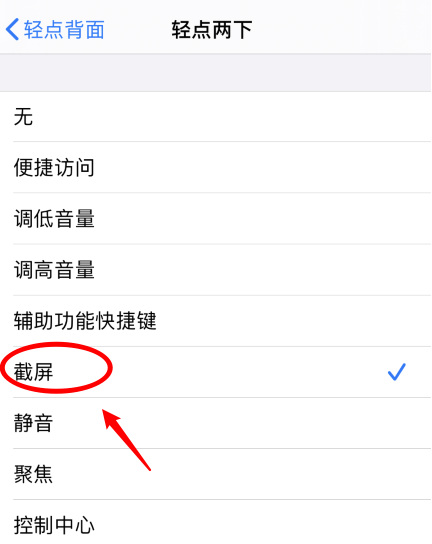 湛江苹果手机维修分享iPhone12如何启用双击截屏 