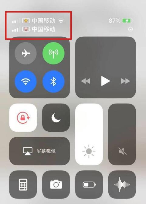 湛江苹果手机维修分享为 iPhone 12 双卡设置标签 