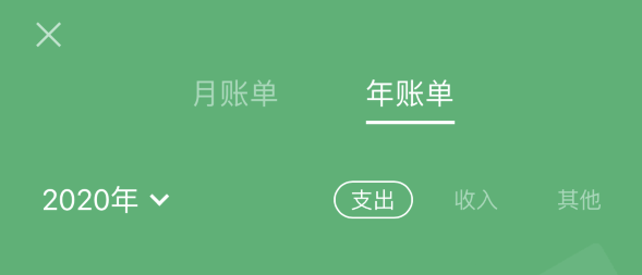湛江苹果手机维修分享如何在 iPhone 上查看支付宝和微信年支出账单 