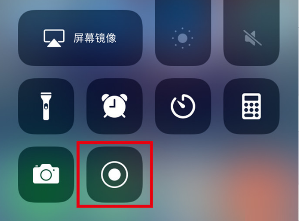 湛江苹果手机维修分享iPhone12录屏方法教程 